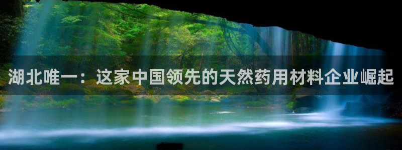ag九游会老哥:湖北唯一:这家中国领先的天然药用材料企业崛起